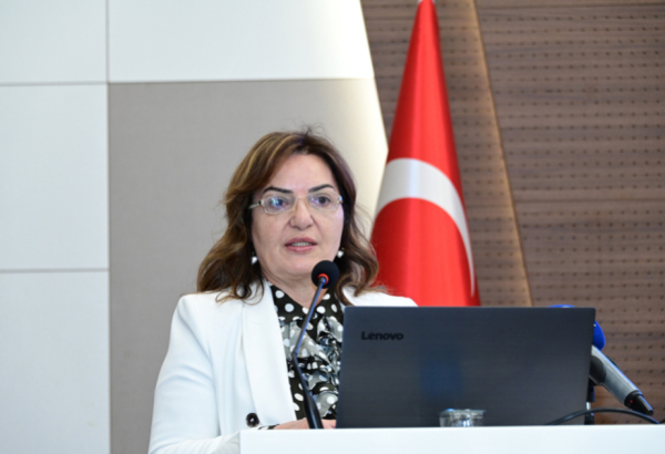 Aygün Attar: Azərbaycan Qarabağ Qələbəsini qlobal geosiyasi üstünlüyə çevirir